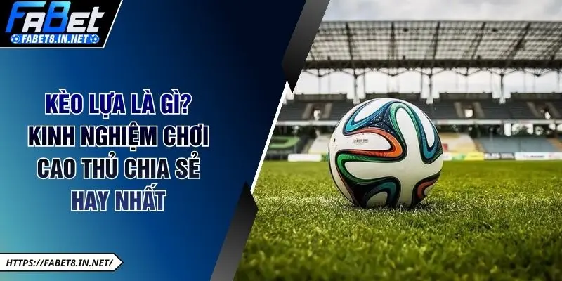Kèo Lựa Là Gì? Kinh Nghiệm Chơi Cao Thủ Chia Sẻ Hay Nhất