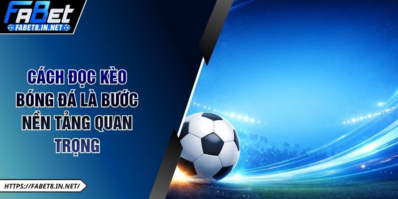 Cách đọc kèo bóng đá là bước nền tảng quan trọng