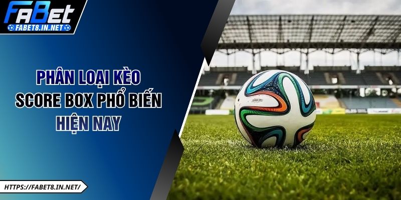 Phân loại kèo Score Box phổ biến hiện nay