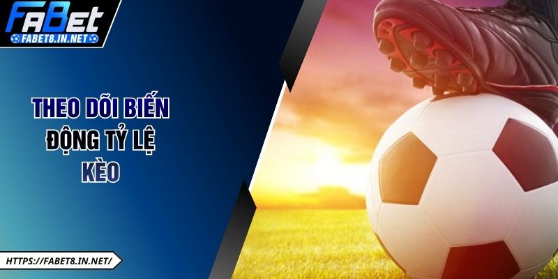 Theo dõi biến động tỷ lệ kèo